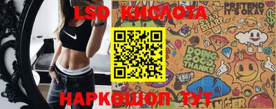 сатива Новокубанск