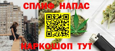 сатива Новокубанск