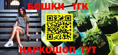 крисы Обь