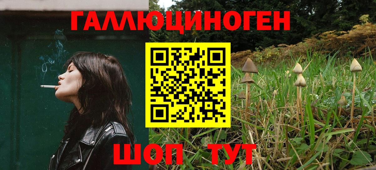 Галлюциногенные грибы Psilocybine cubensis  Вход с VPN  Сердобск 